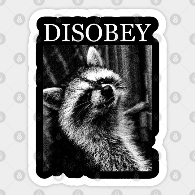 Raccoon Disobey Sticker by giovanniiiii